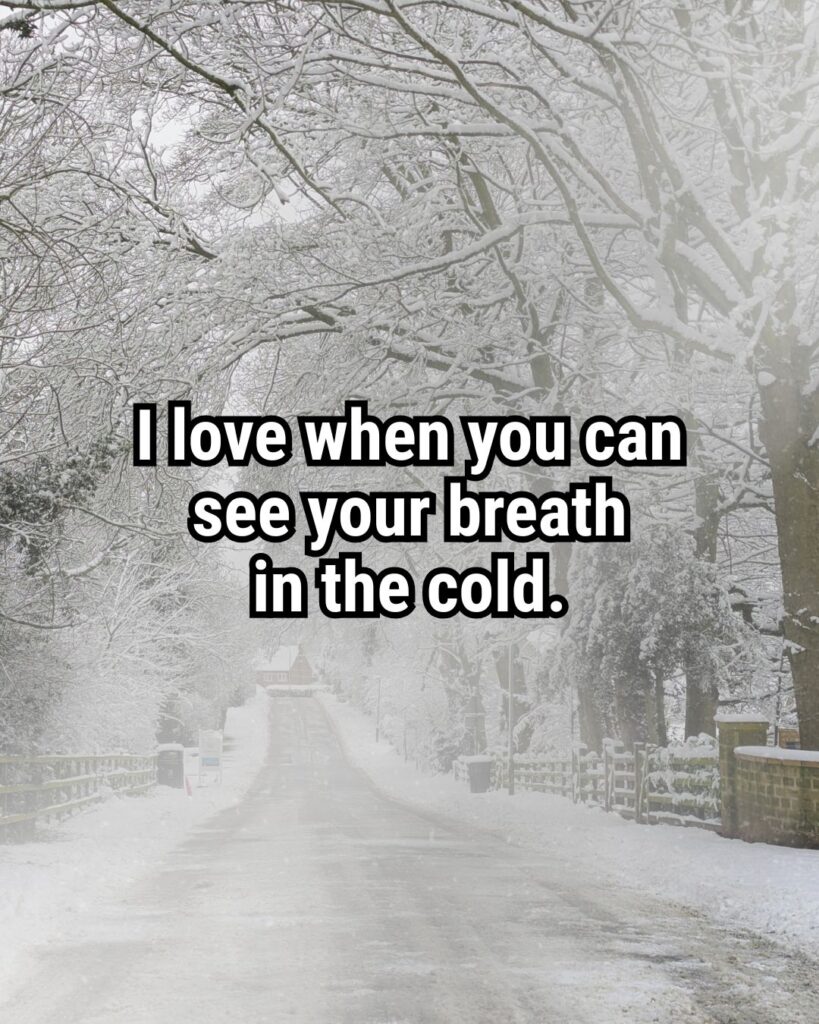 Relatable Quote about Winter: "I love when you can see your breath in the cold."