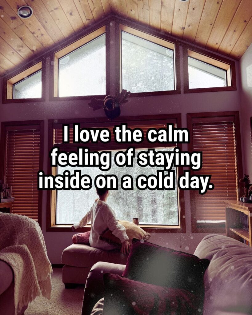 Relatable Quote about Winter: "I love the calm feeling of staying inside on a cold day."