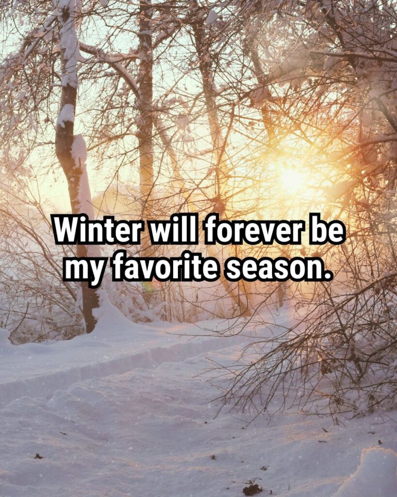 "Winter will forever be my favorite season."