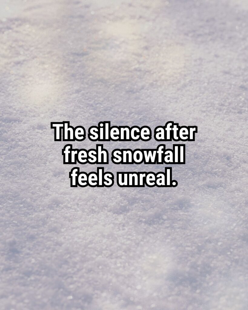 Relatable Quote about Winter: "The silence after fresh snowfall feels unreal."