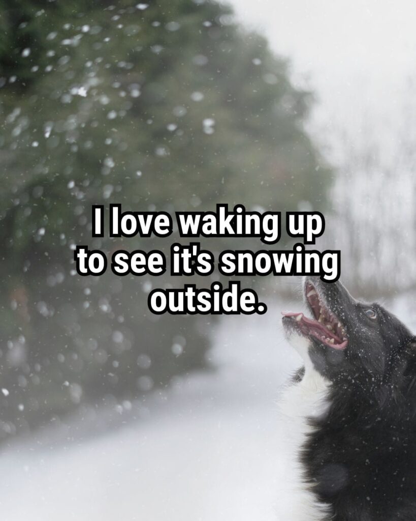 Relatable Quote about Winter: "I love waking up to see it's snowing outside."