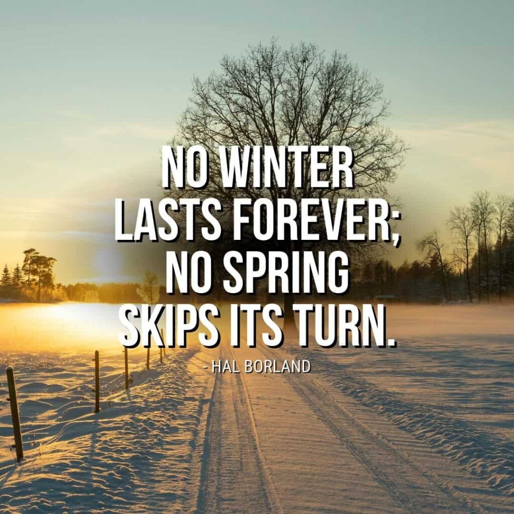 Quote about Winter: "No winter lasts forever; no spring skips its turn." - Hal Borland