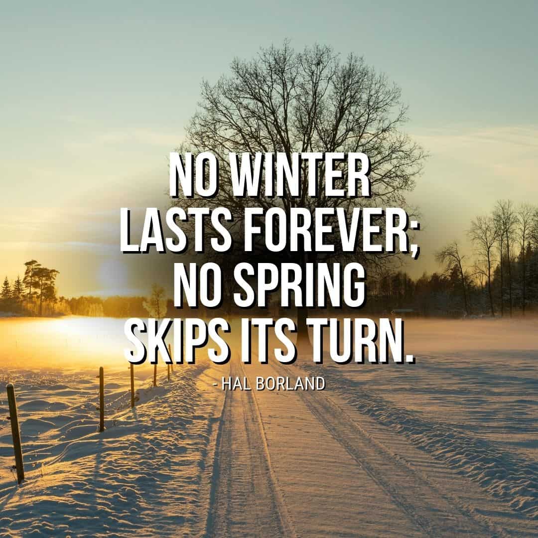 Quote about Winter: "No winter lasts forever; no spring skips its turn." - Hal Borland