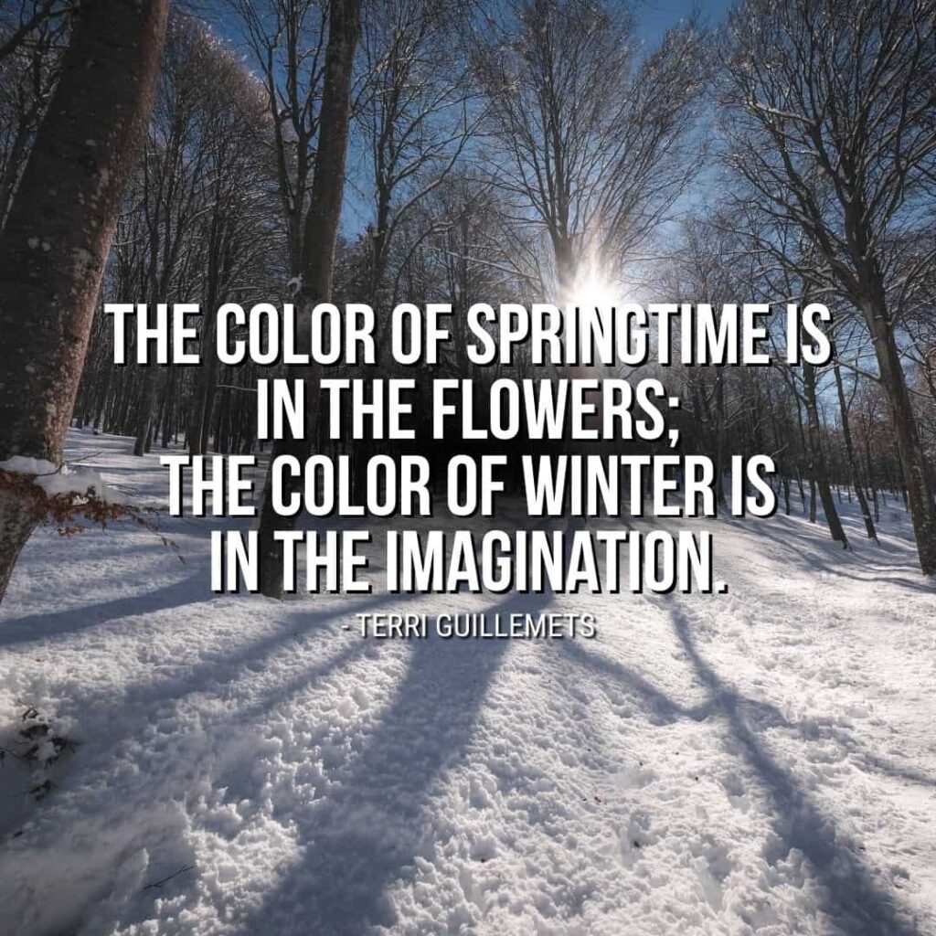 Quote about Winter: "The color of springtime is in the flowers; the color of winter is in the imagination." - Terri Guillemets